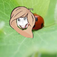 coco jeff_the_killer ladybug meme ongezellig // 200x200 // 33KB