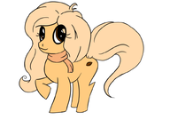 artist:unknown big_eyes coco mlp pony rugby // 800x564 // 101KB