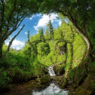 ai ai_generated forest green mymy river stealth trees // 1024x1024 // 373KB