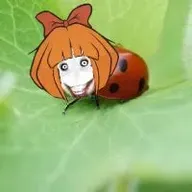 jeff_the_killer ladybug meme mymy ongezellig // 200x200 // 5.4KB
